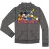 Disney Friends Boys Zip Hoodie