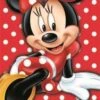 Disney Minnie Mouse All About Me 28"Wx58"L Beach Towel