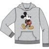 Disney Youth Head To Toe Mickey Hoodie