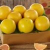 Florida Red Grapefruit