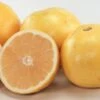 Florida White Grapefruit