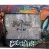 Harry Potter Gryffindor Cruciatus Unbreakable Vow Magnetic 4 X 6 Picture Frame