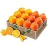 Honeybells And Navel Oranges