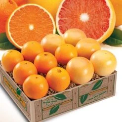 Mandarin Oranges And Red Grapefruit