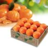 Mandarin Oranges