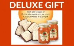 Mandarin Oranges -Toys Gift Store mandarin oranges floridagifts 2