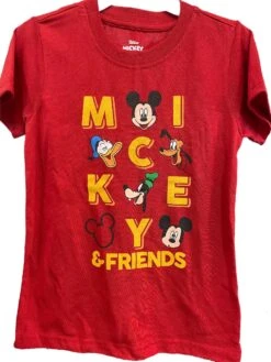 Mickey Mouse Boys Short Sleeve T-Shirt And Mesh Shorts Set
