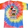 Multi Colored Spiral Tie Dye Minnie Mouse Classic Pose T-Shirt For Kids, Retro Disney Youth Vacation Shirts