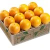 Navel Oranges