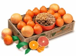 Sweet Honeybell Temptations