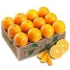 Valencia Oranges