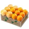 White Grapefruit And Navels