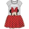 Youth Girls Big Bow Minnie Tutu Dress, Gray Red